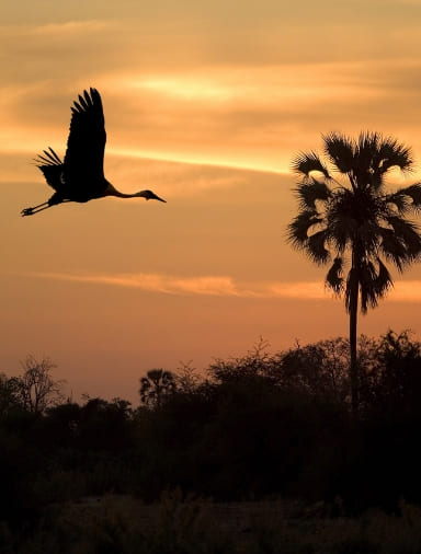 Botswana